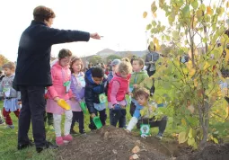 Festa dell'albero 2017